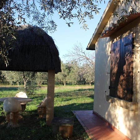 Cottage With A Great Fenced Garden In The Tuscan Countryside Cecina  Zewnętrze zdjęcie