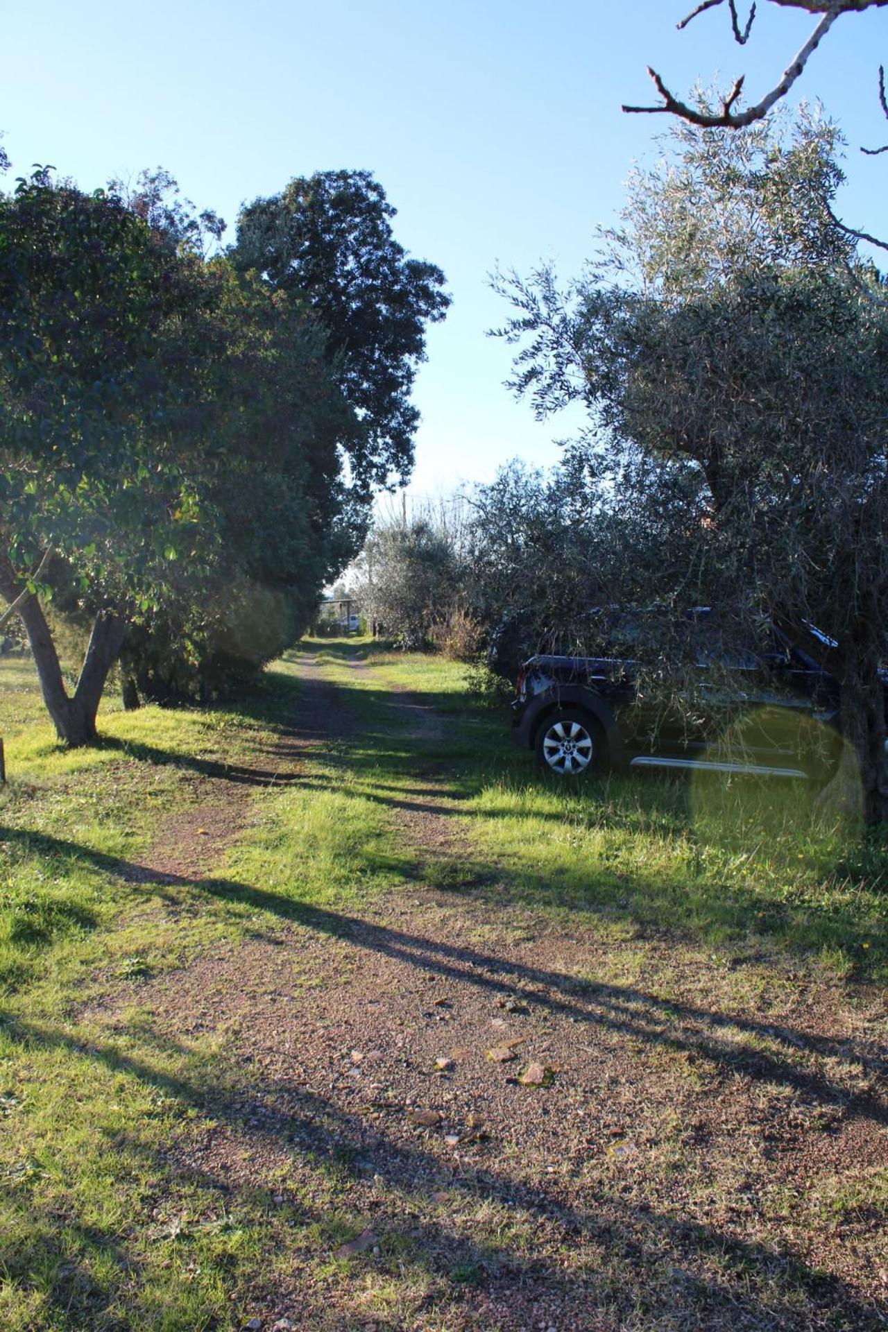 Cottage With A Great Fenced Garden In The Tuscan Countryside Cecina  Zewnętrze zdjęcie